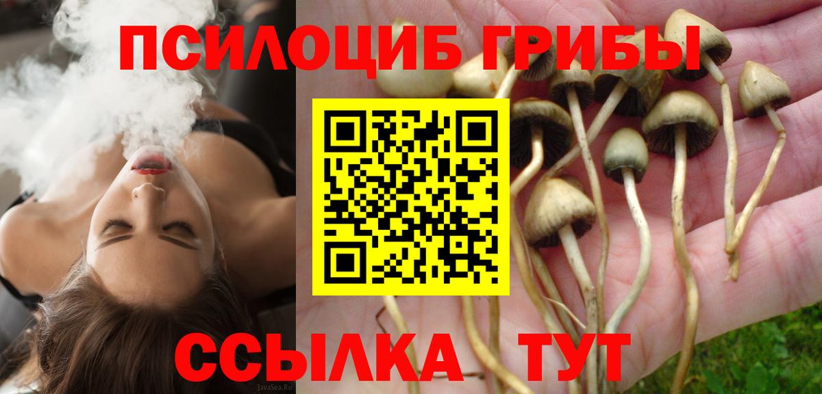 Ленинск-Кузнецкий  Галлюциногенные грибы MAGIC MUSHROOMS  Псилоцибиновые грибы Psilocybine cubensis  Вход с VPN 